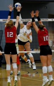 Tigers tipped by Hawks in home opener